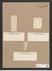 Frustulia rhomboides (Ehr.) De-Toni (de-Toni-Nr.: Genus 19, Species 1159) Zeichnungen Sammlung Grunow Nr. 2260 (NHMW-BOT-W0369367)